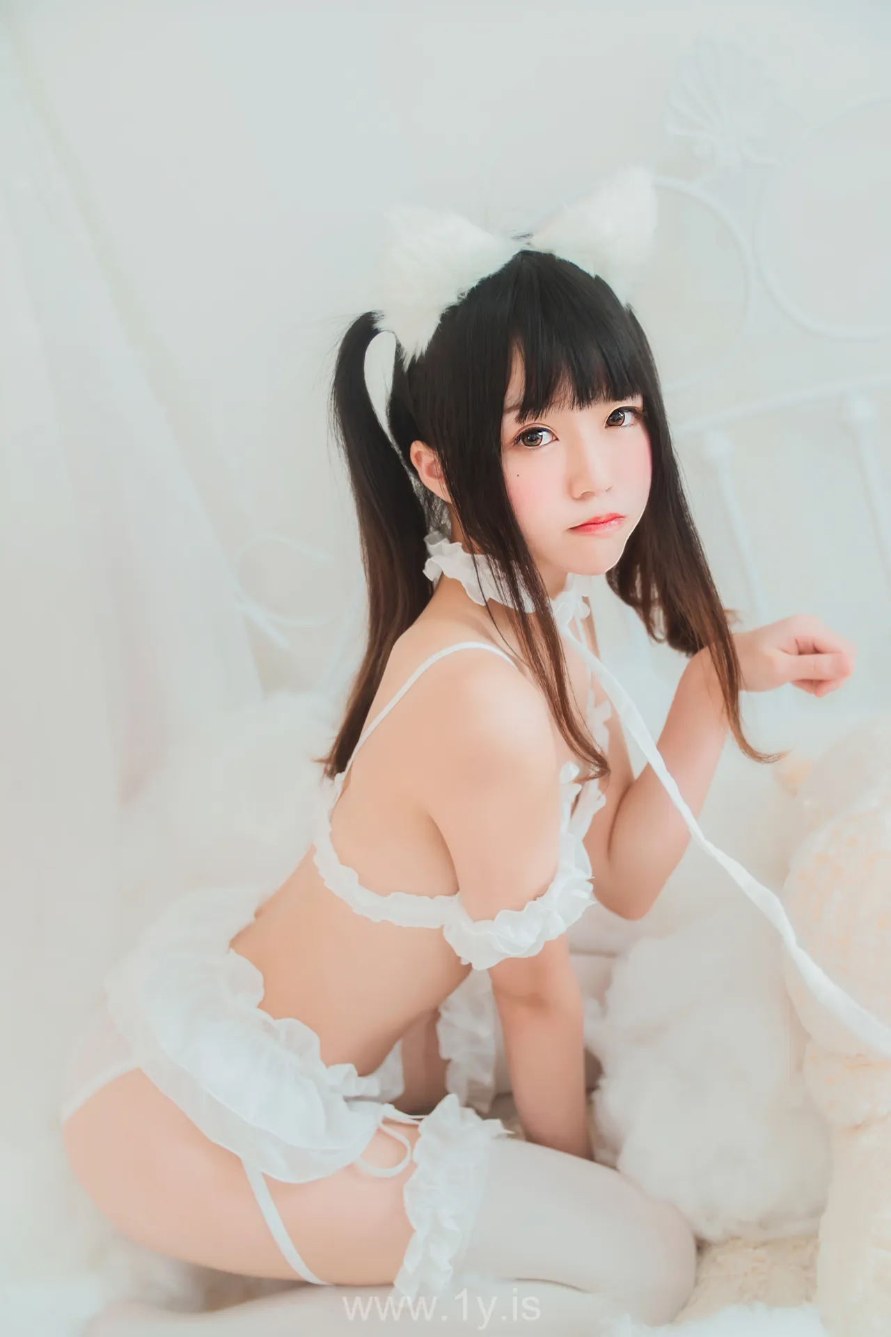 桜桃喵 NO.68 白猫